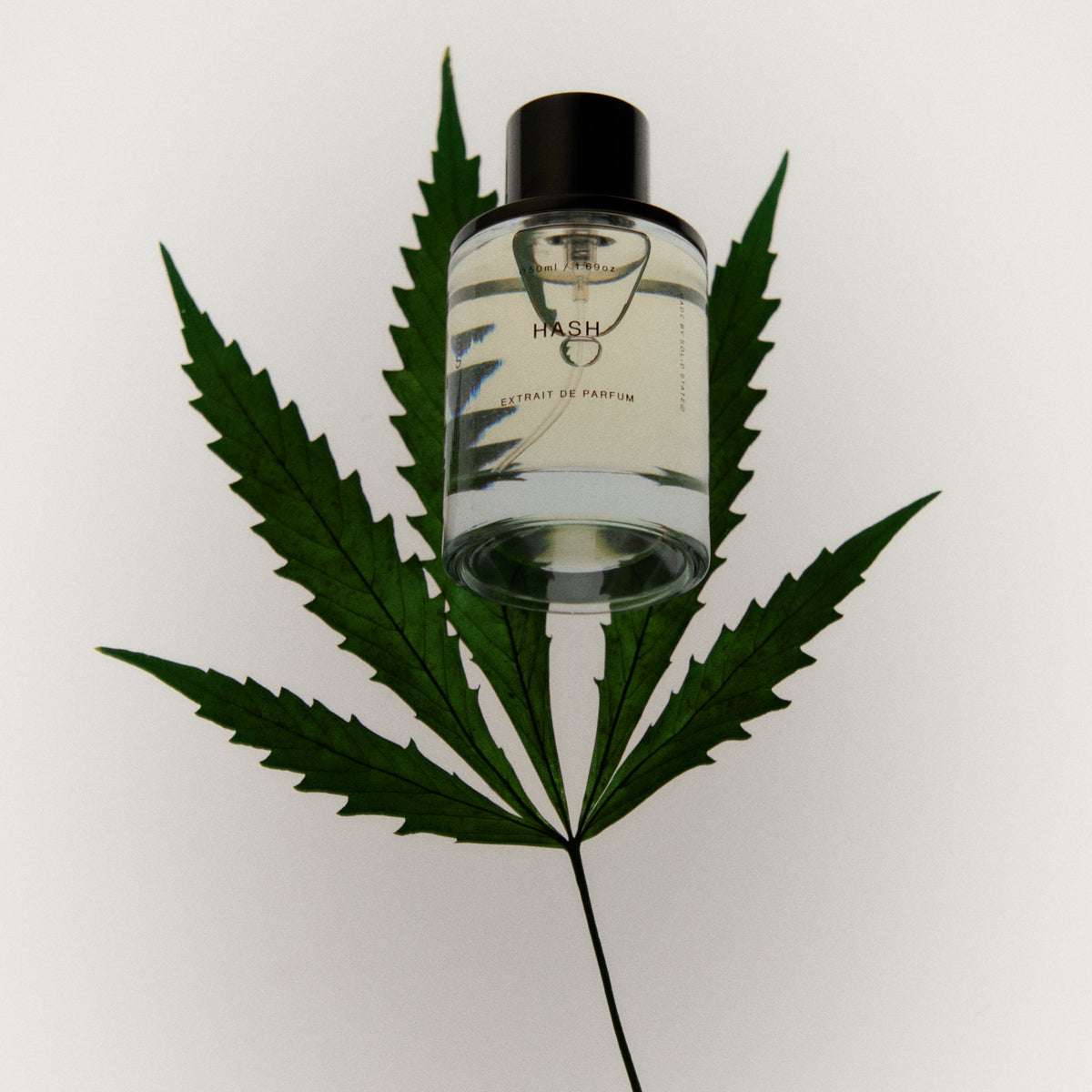Hash EDP Cologne – SOLID STATE©